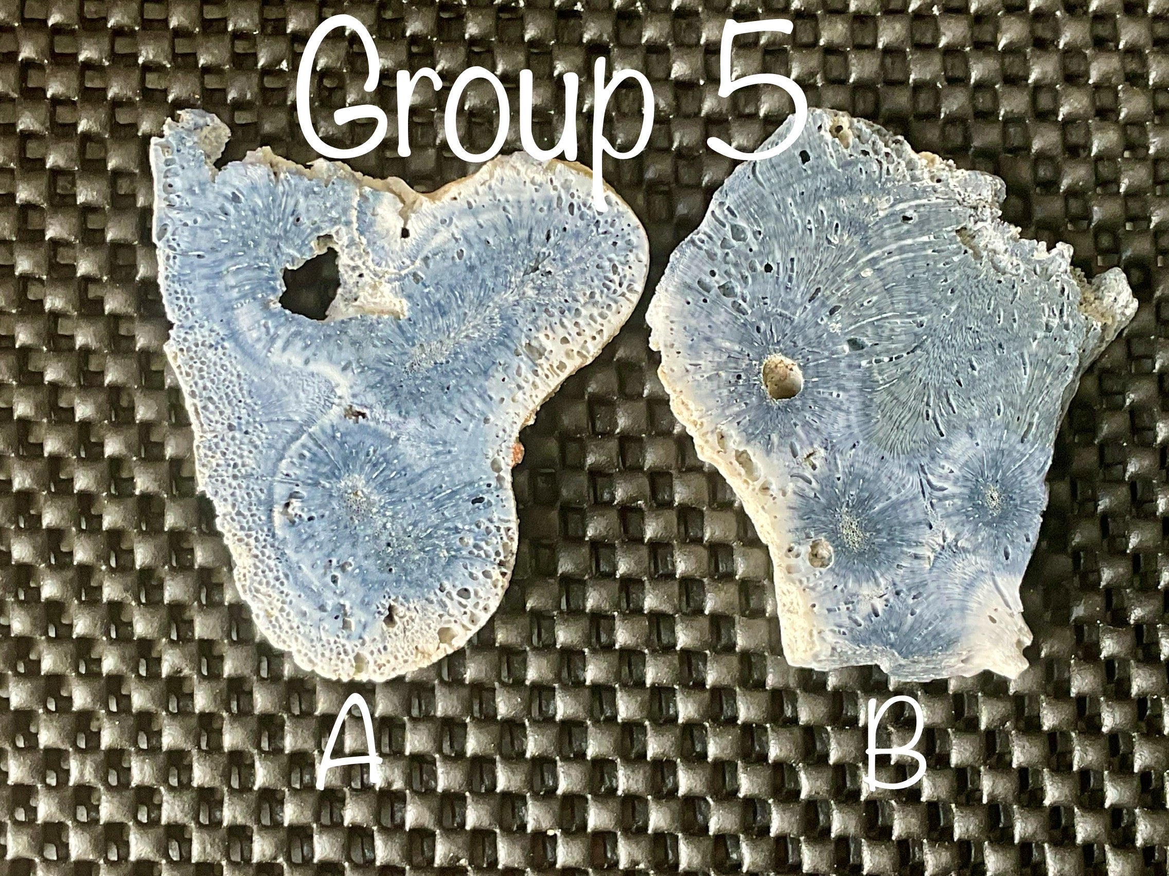 36g Natural Blue Fossilised Coral Slab 5B
