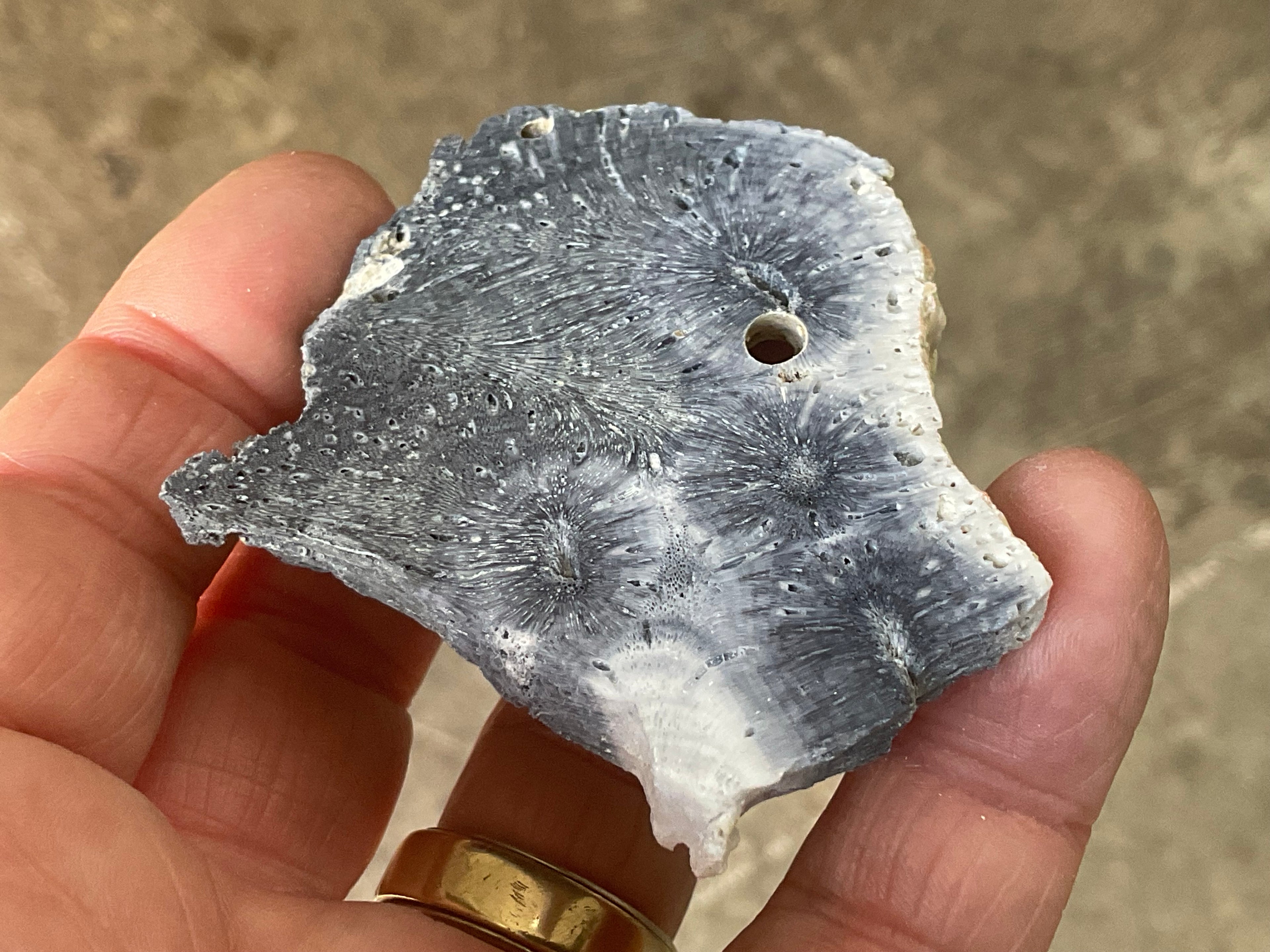 36g Natural Blue Fossilised Coral Slab 5B