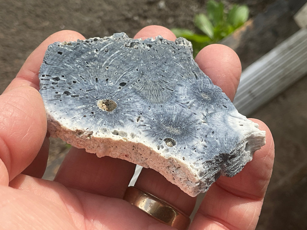 36g Natural Blue Fossilised Coral Slab 5B
