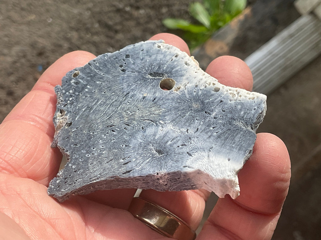 36g Natural Blue Fossilised Coral Slab 5B