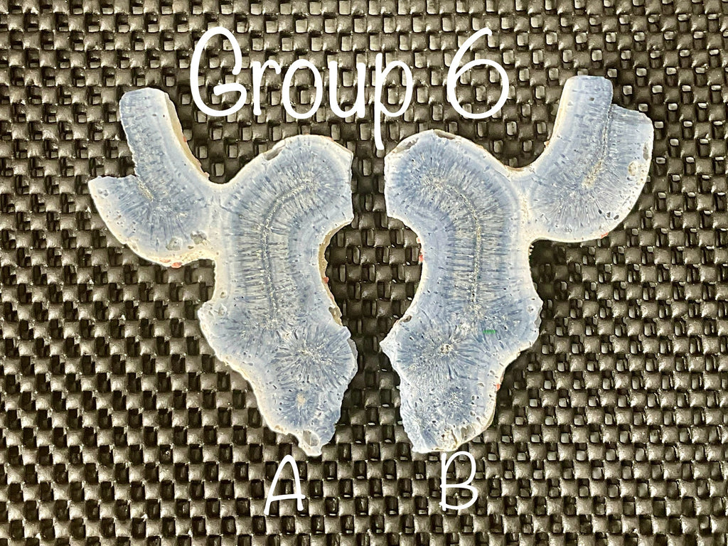 56g Natural Blue Coral Fossil Slab 6B