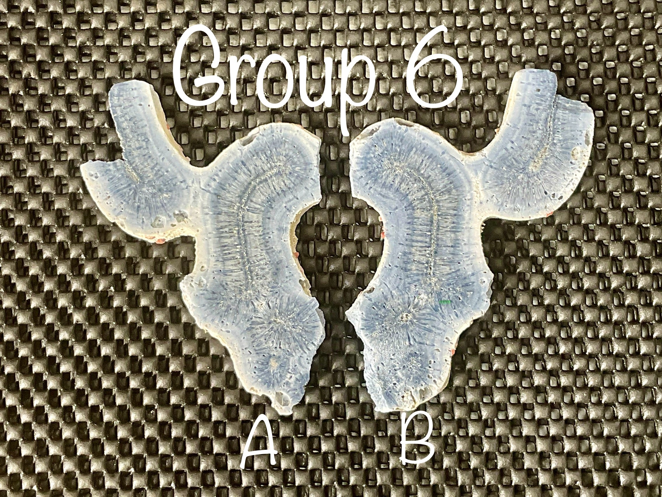 56g Natural Blue Coral Fossil Slab 6B