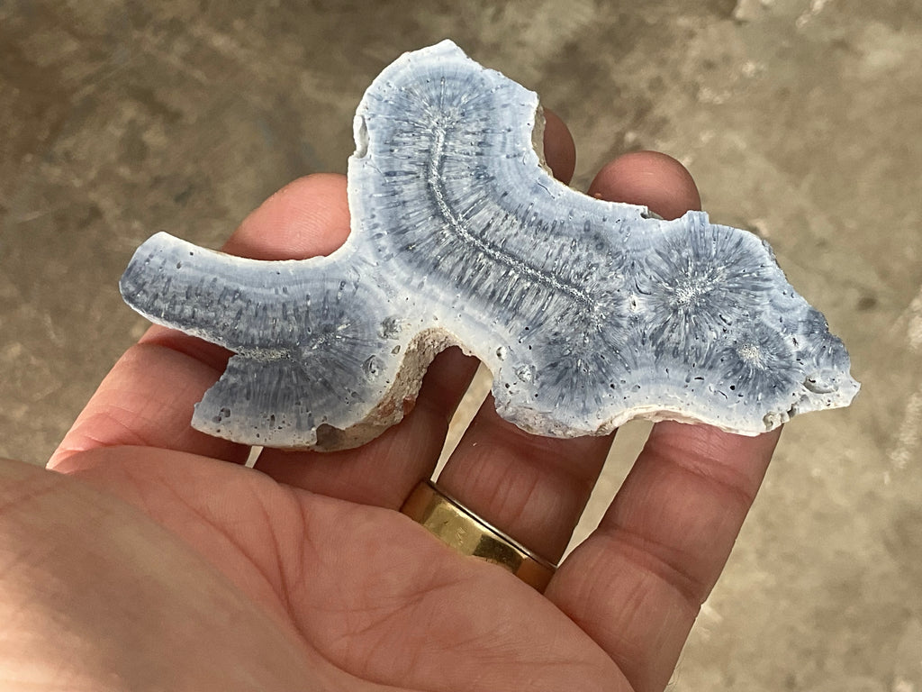 46g Natural Blue Fossil Coral Slab 6A
