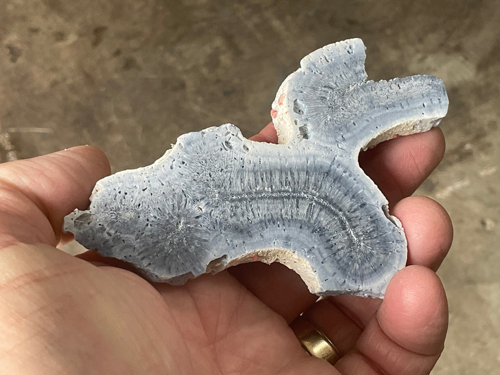 46g Natural Blue Fossil Coral Slab 6A