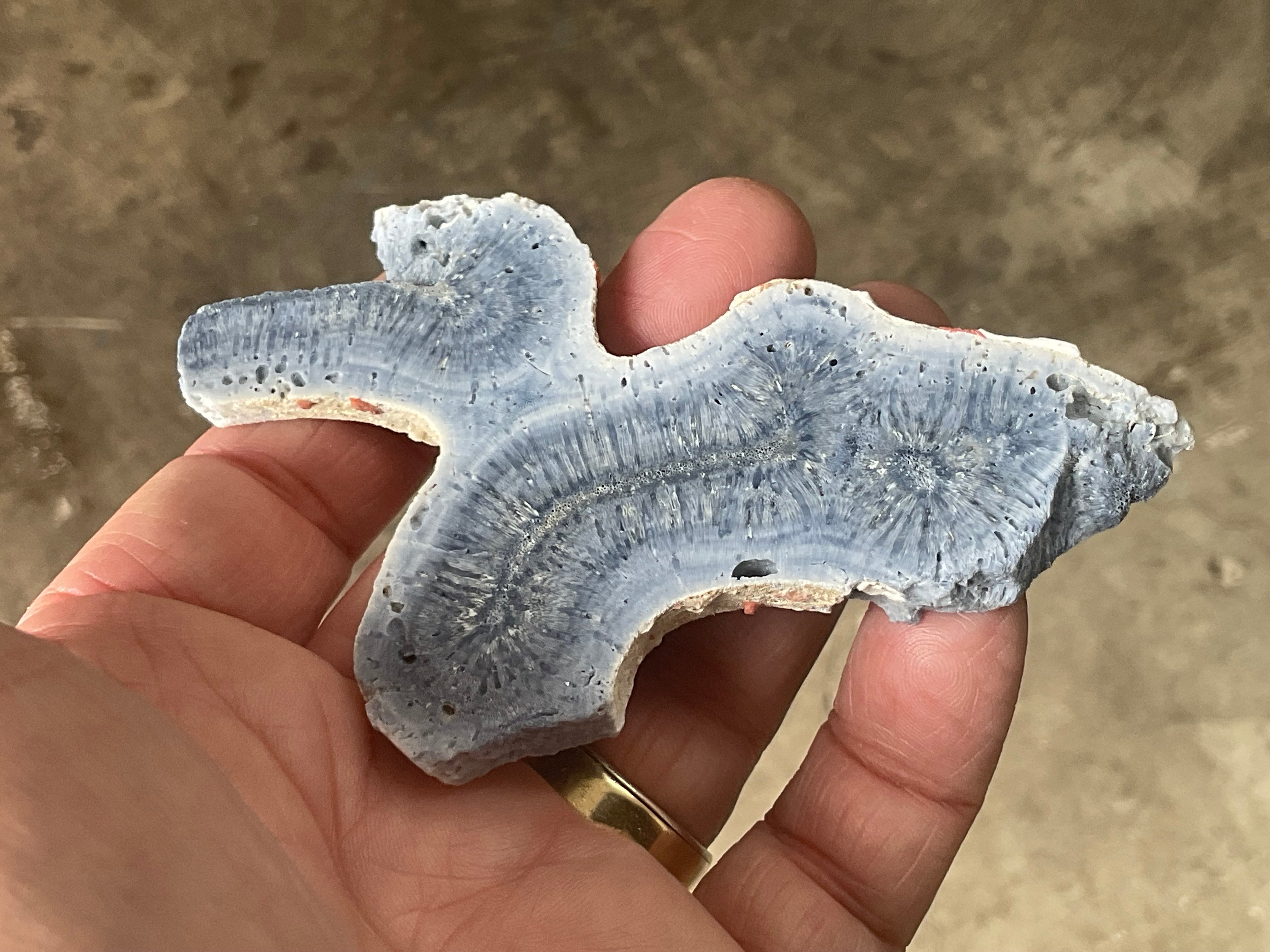 46g Natural Blue Fossil Coral Slab 6A