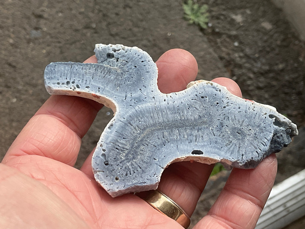 46g Natural Blue Fossil Coral Slab 6A