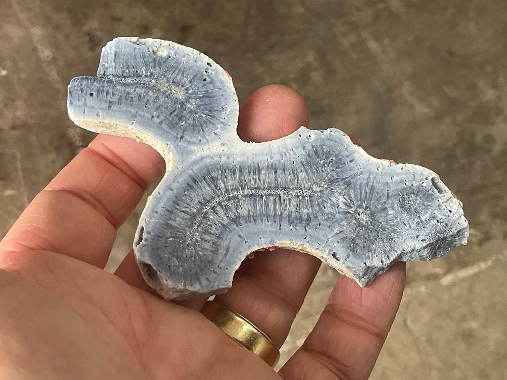 56g Natural Blue Coral Fossil Slab 6B