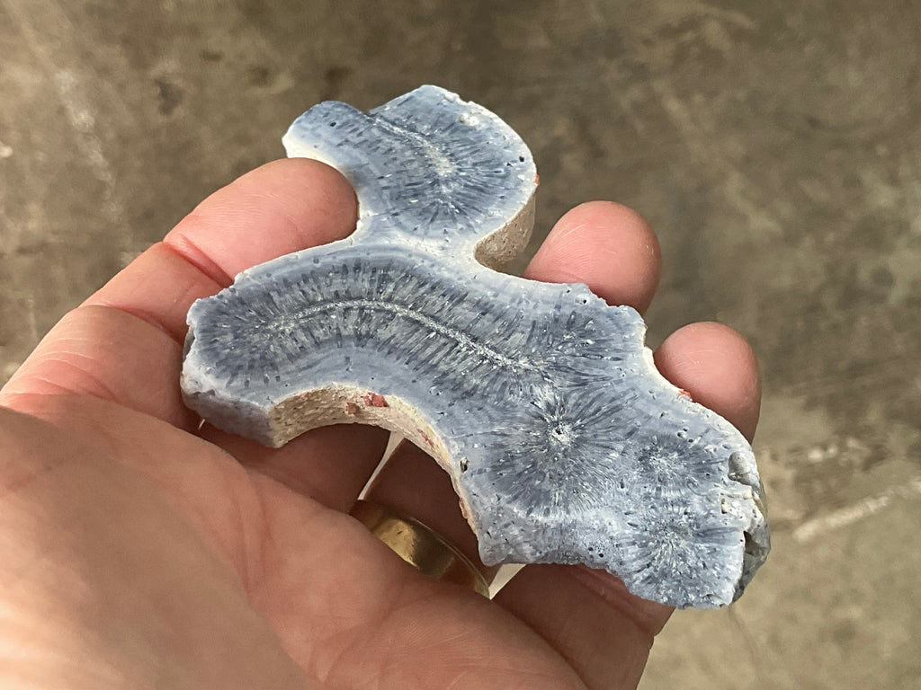 56g Natural Blue Coral Fossil Slab 6B
