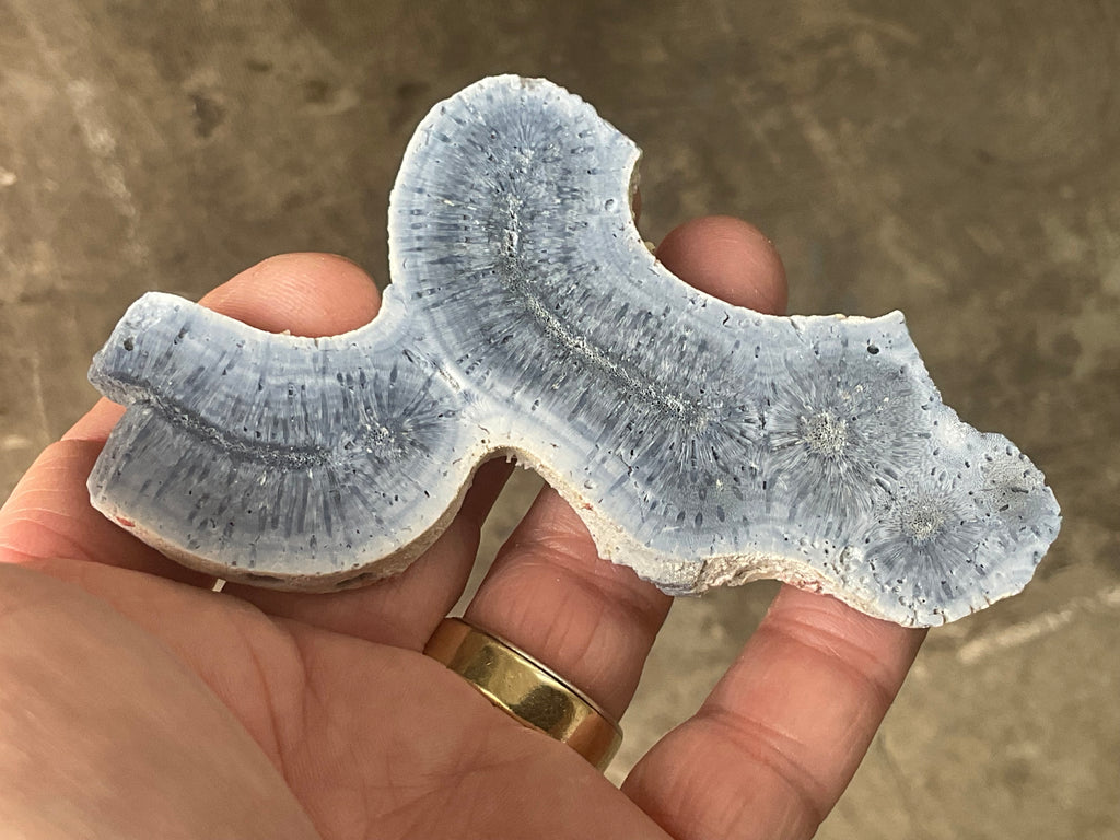 56g Natural Blue Coral Fossil Slab 6B