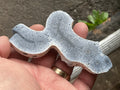 56g Natural Blue Coral Fossil Slab 6B