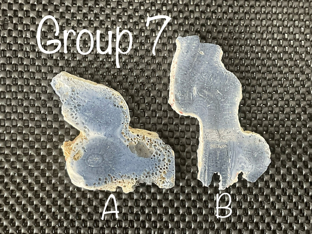 64g Natural Blue Coral Fossil Slab 7A