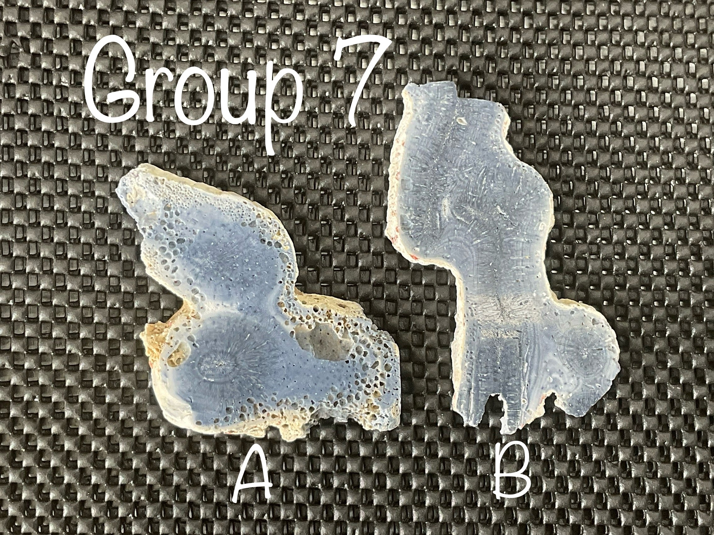 64g Natural Blue Coral Fossil Slab 7A