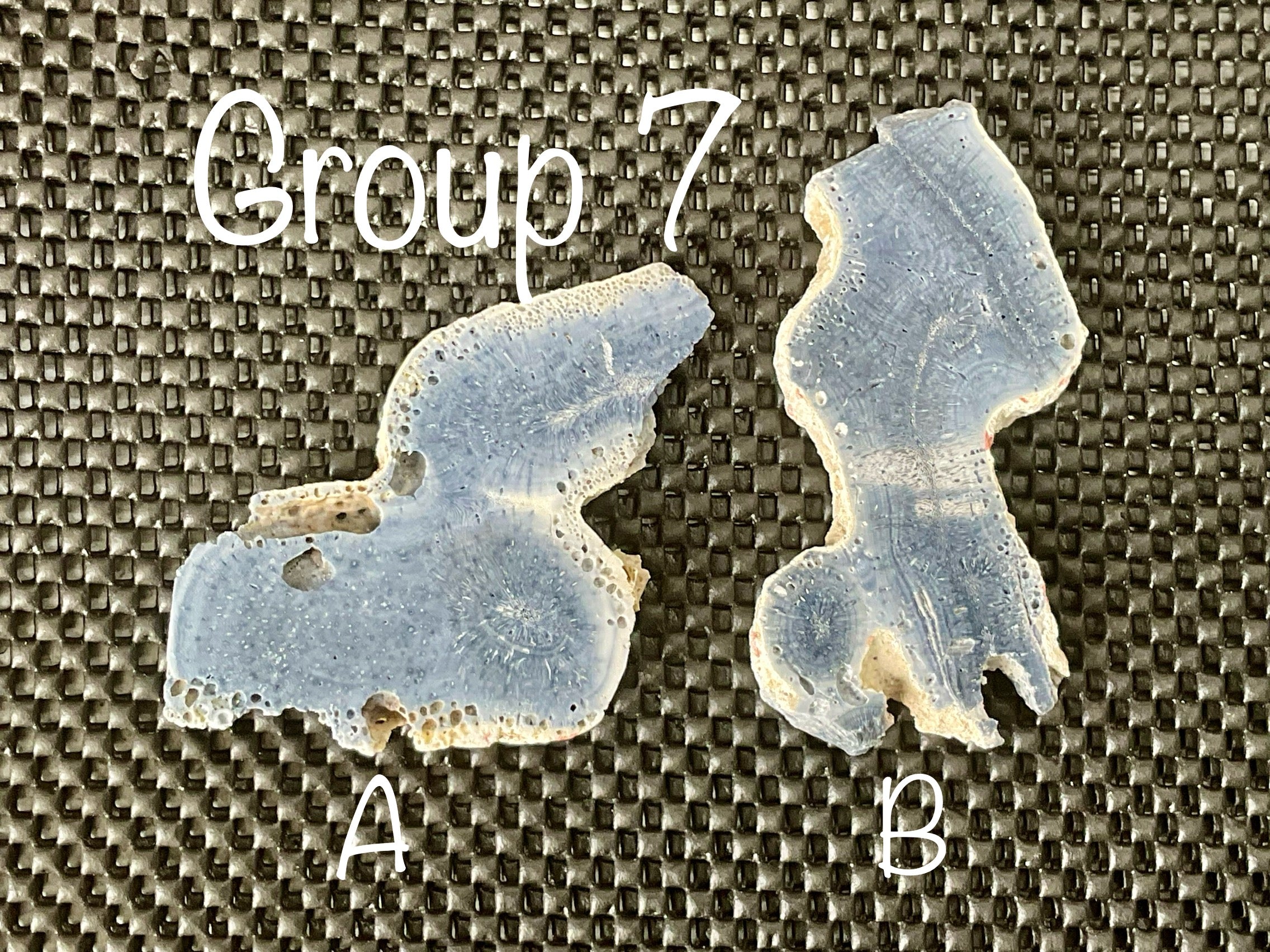 60g Natural Blue Coral Fossil Slab 7B
