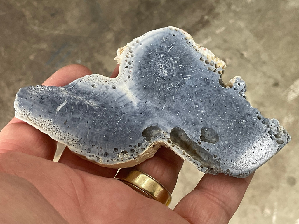 64g Natural Blue Coral Fossil Slab 7A