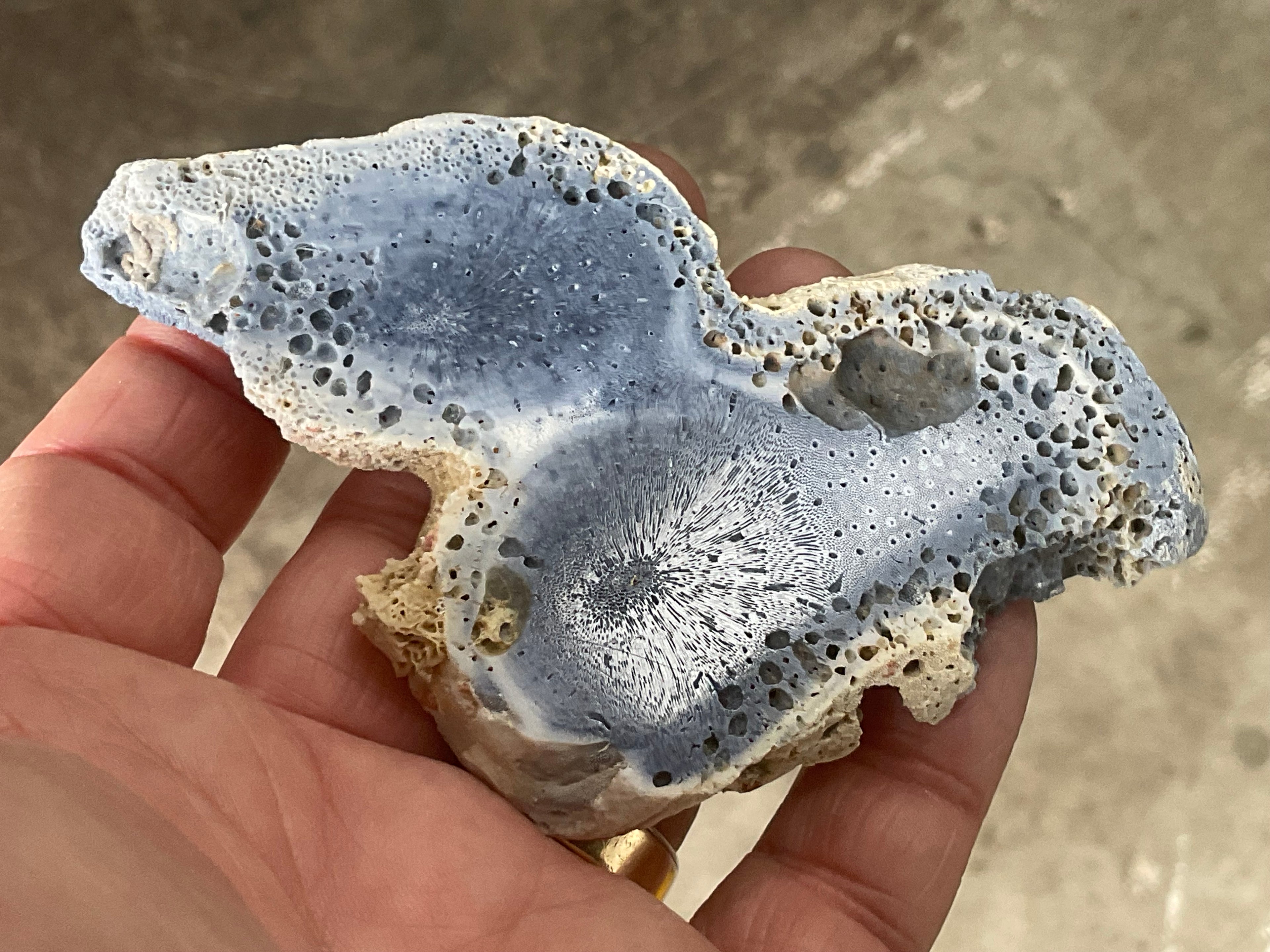 64g Natural Blue Coral Fossil Slab 7A
