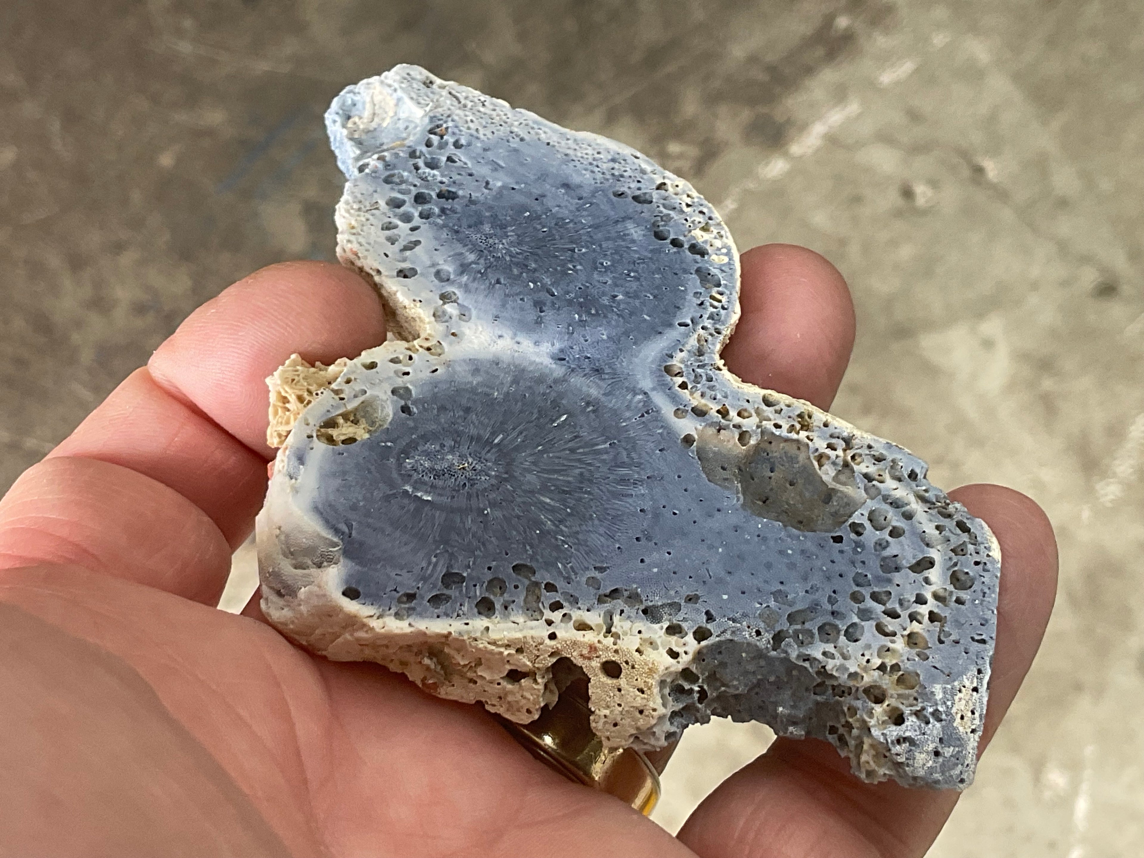 64g Natural Blue Coral Fossil Slab 7A