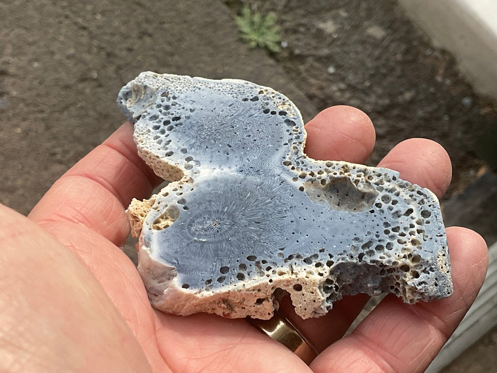 64g Natural Blue Coral Fossil Slab 7A