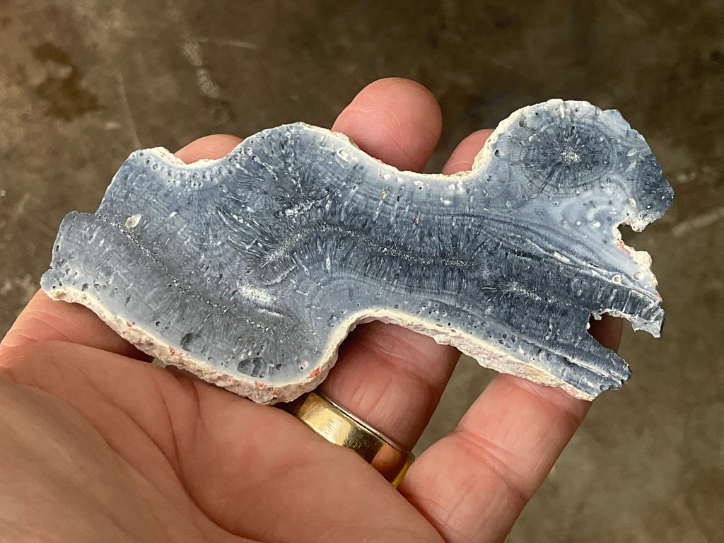 60g Natural Blue Coral Fossil Slab 7B
