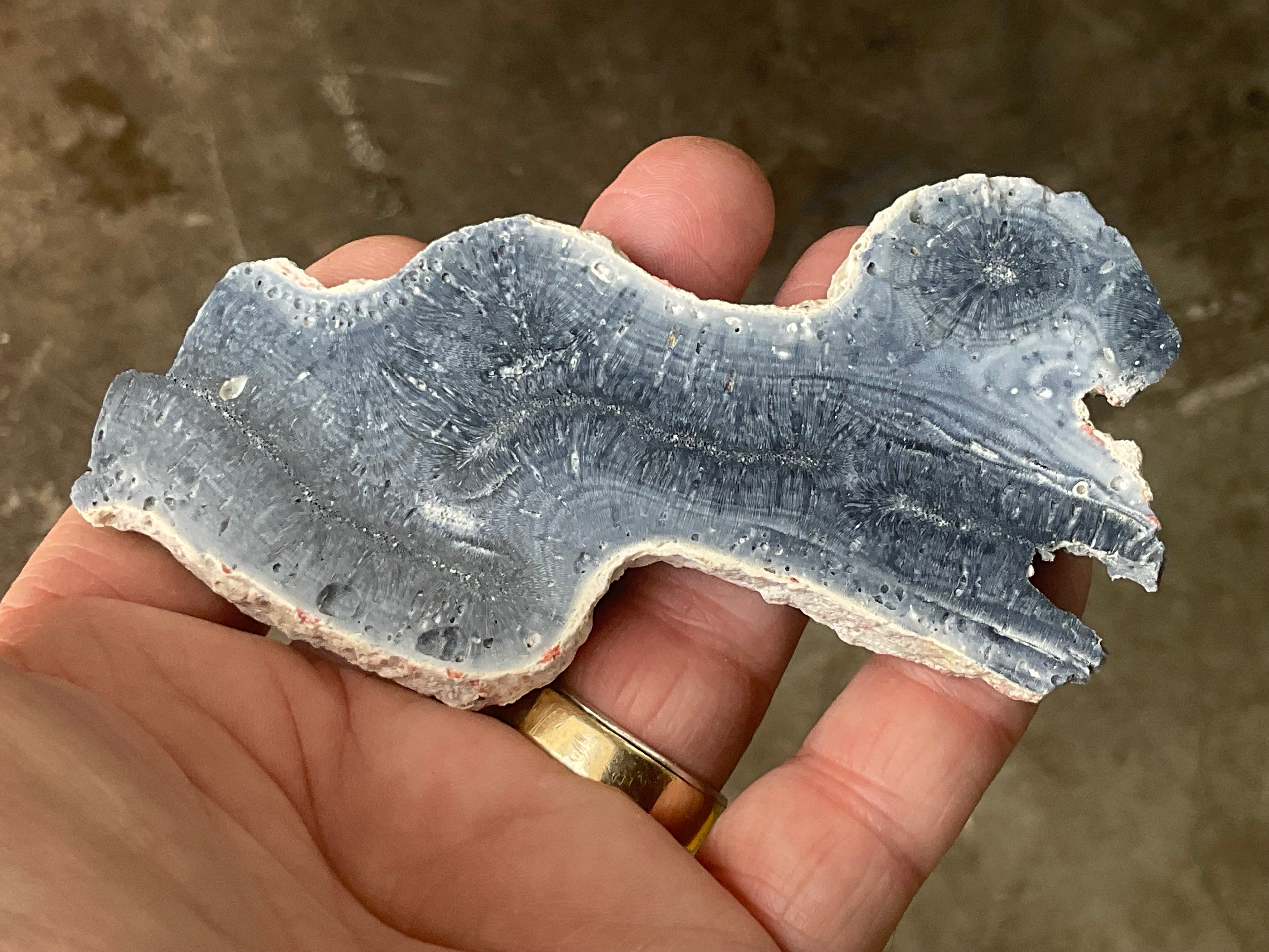 60g Natural Blue Coral Fossil Slab 7B