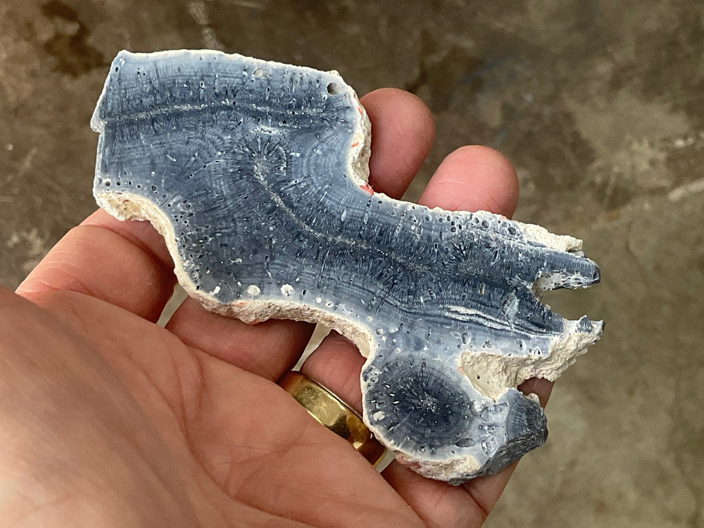 60g Natural Blue Coral Fossil Slab 7B