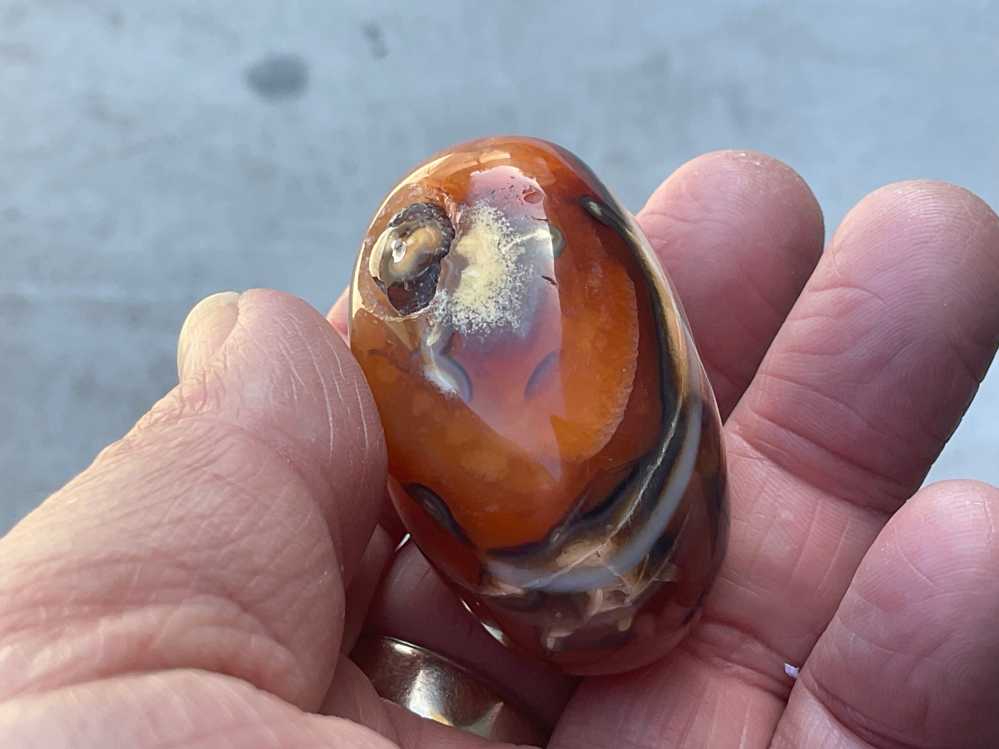 66g Carnelian Orca Agate Palmstone 1A