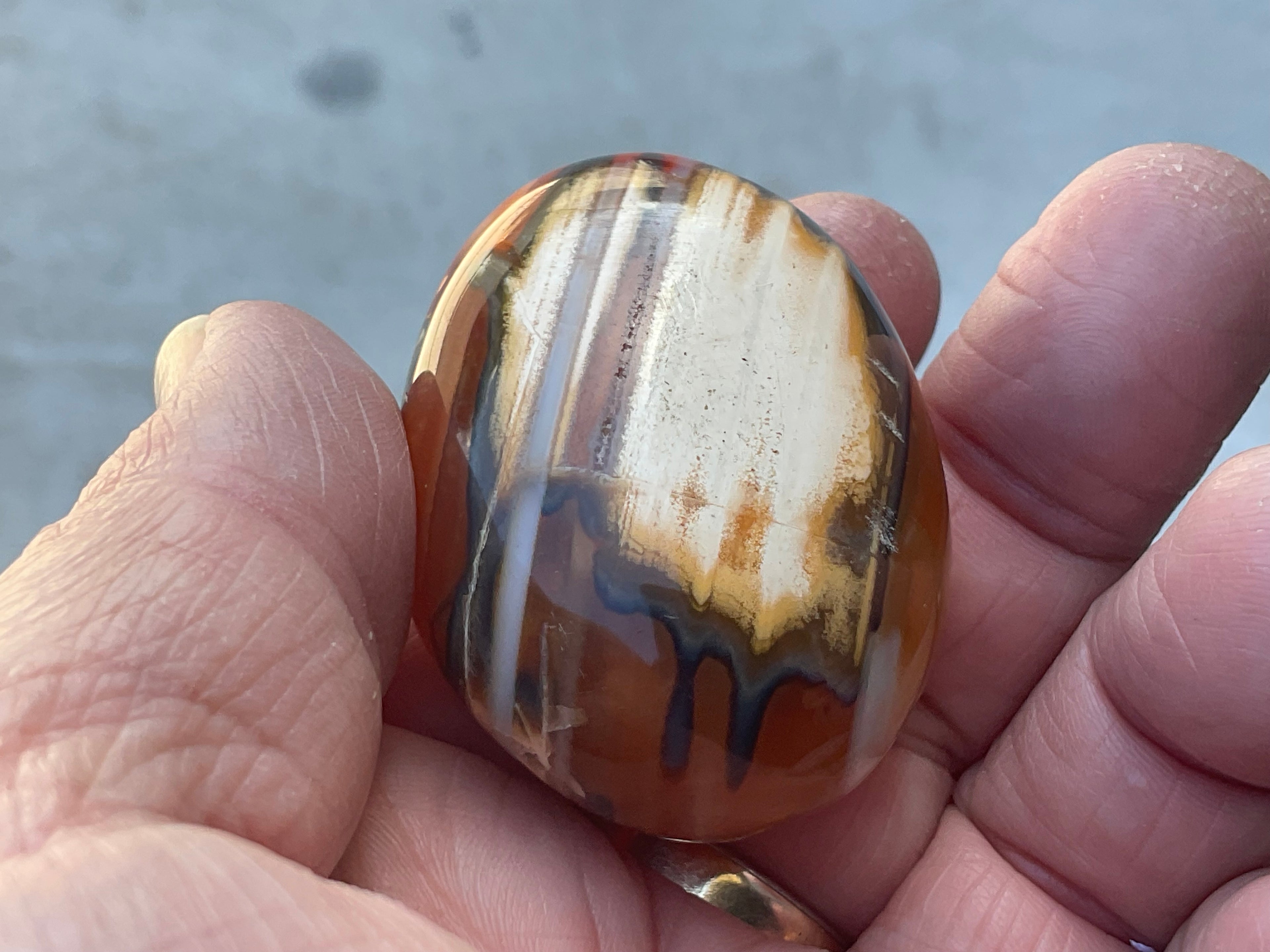 66g Carnelian Orca Agate Palmstone 1A