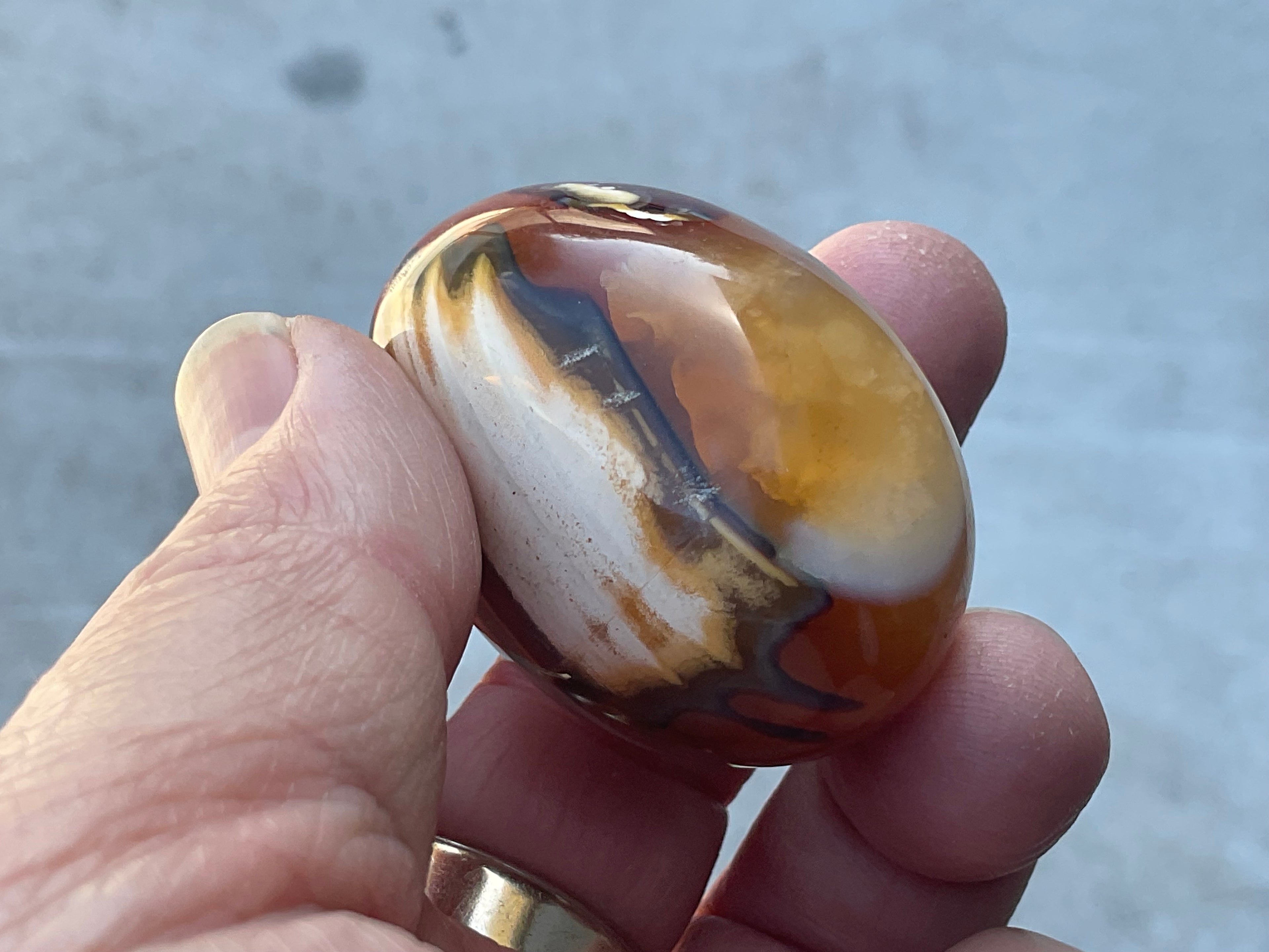 66g Carnelian Orca Agate Palmstone 1A