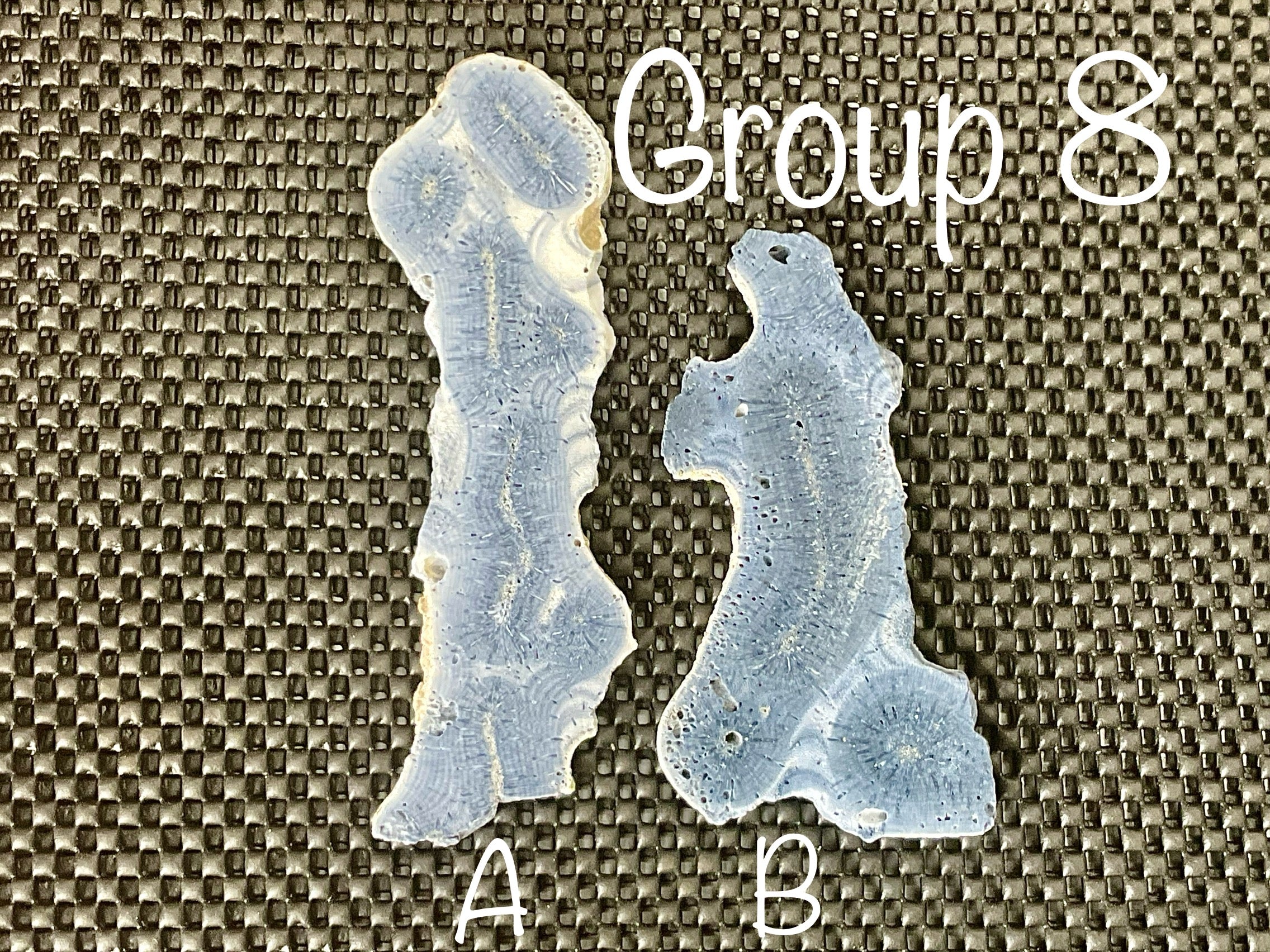 68g Natural Blue Coral Fossil Slab 8A