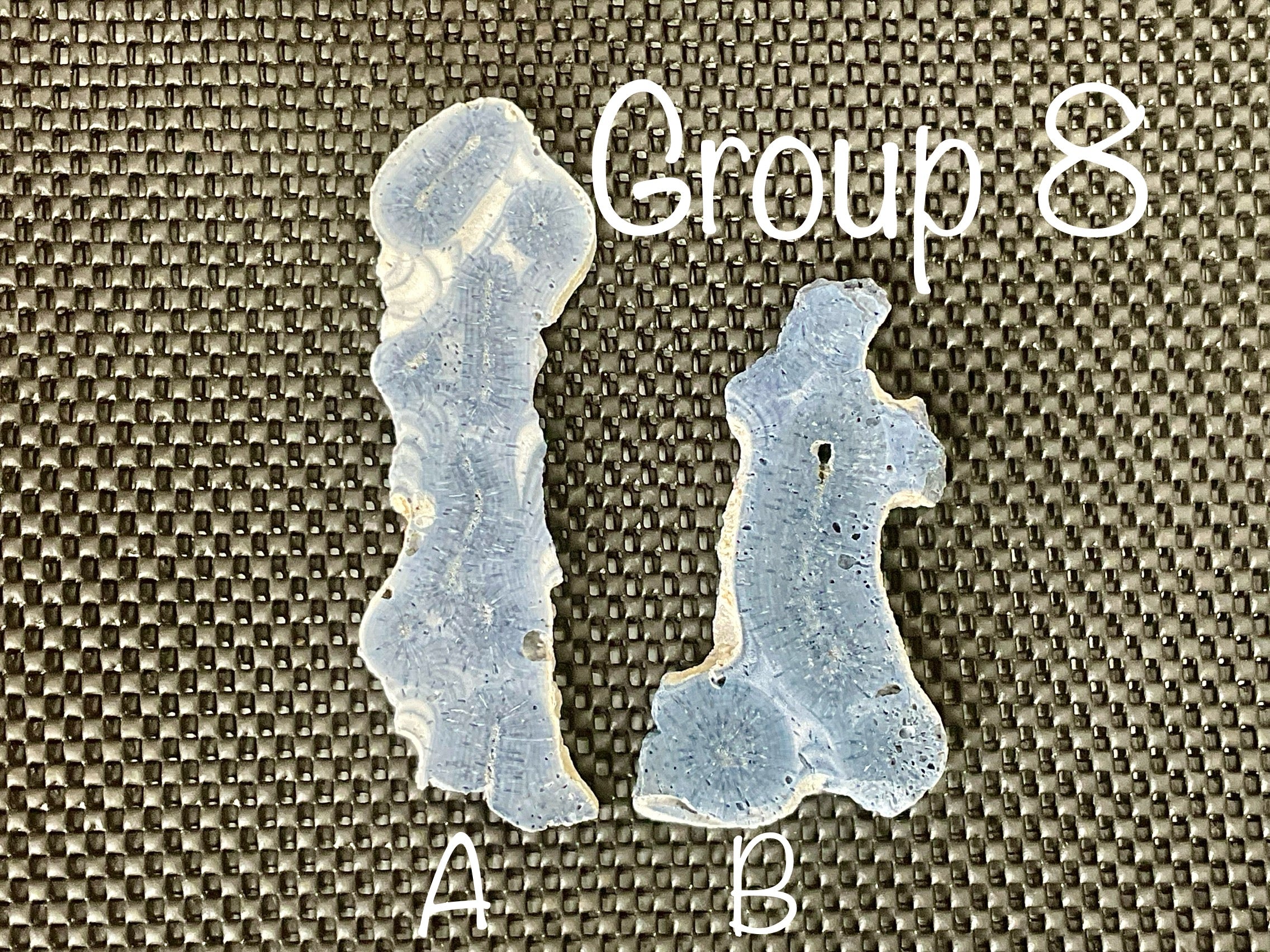 68g Natural Blue Coral Fossil Slab 8A