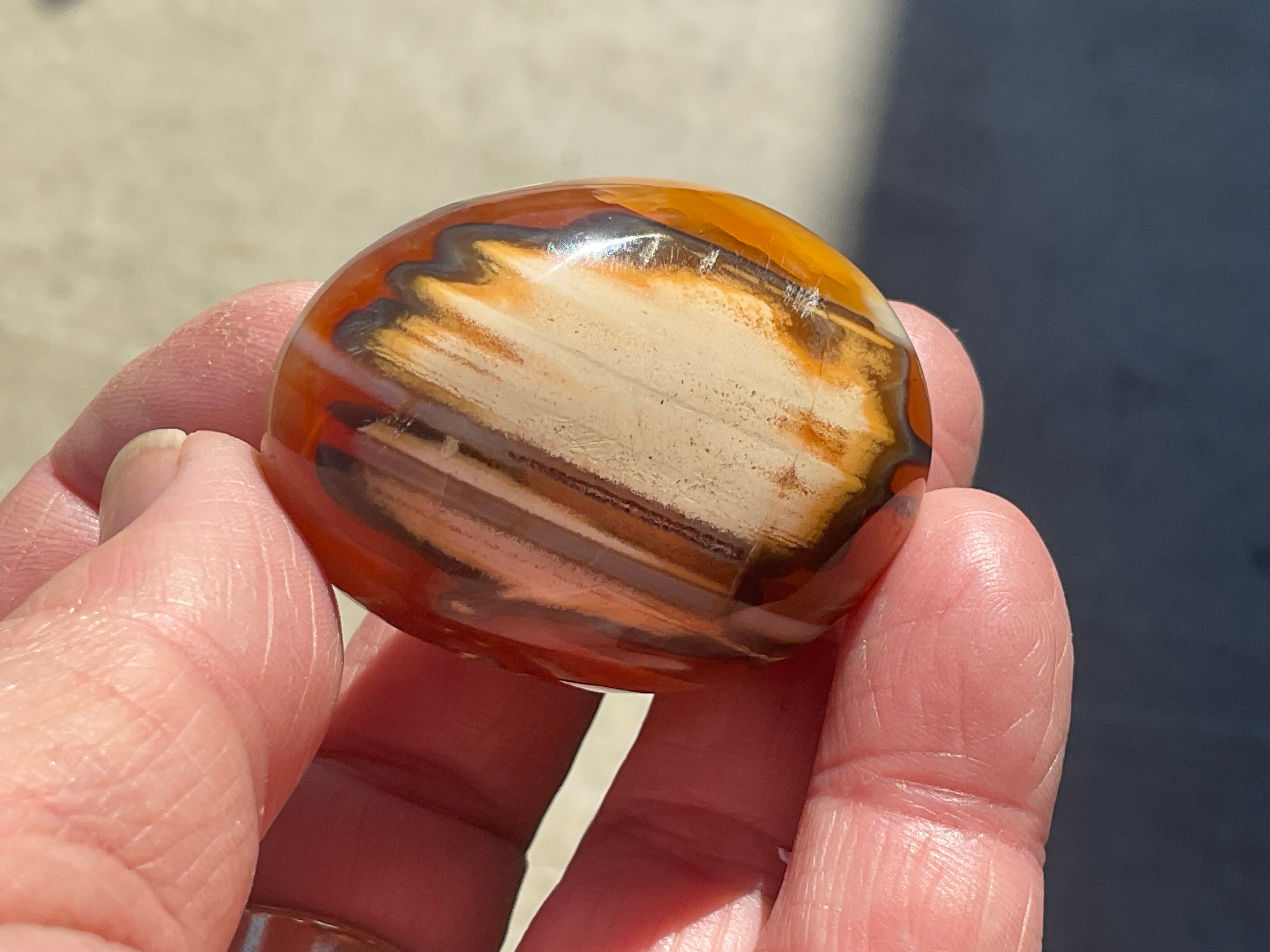 66g Carnelian Orca Agate Palmstone 1A