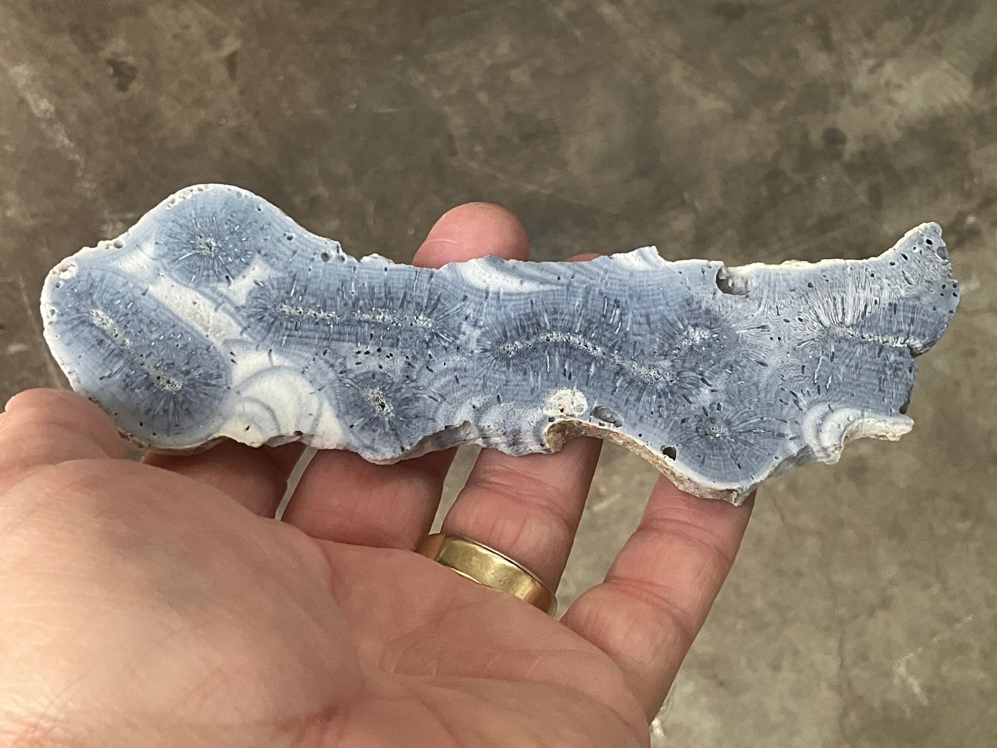 68g Natural Blue Coral Fossil Slab 8A