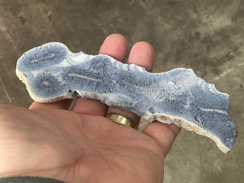68g Natural Blue Coral Fossil Slab 8A