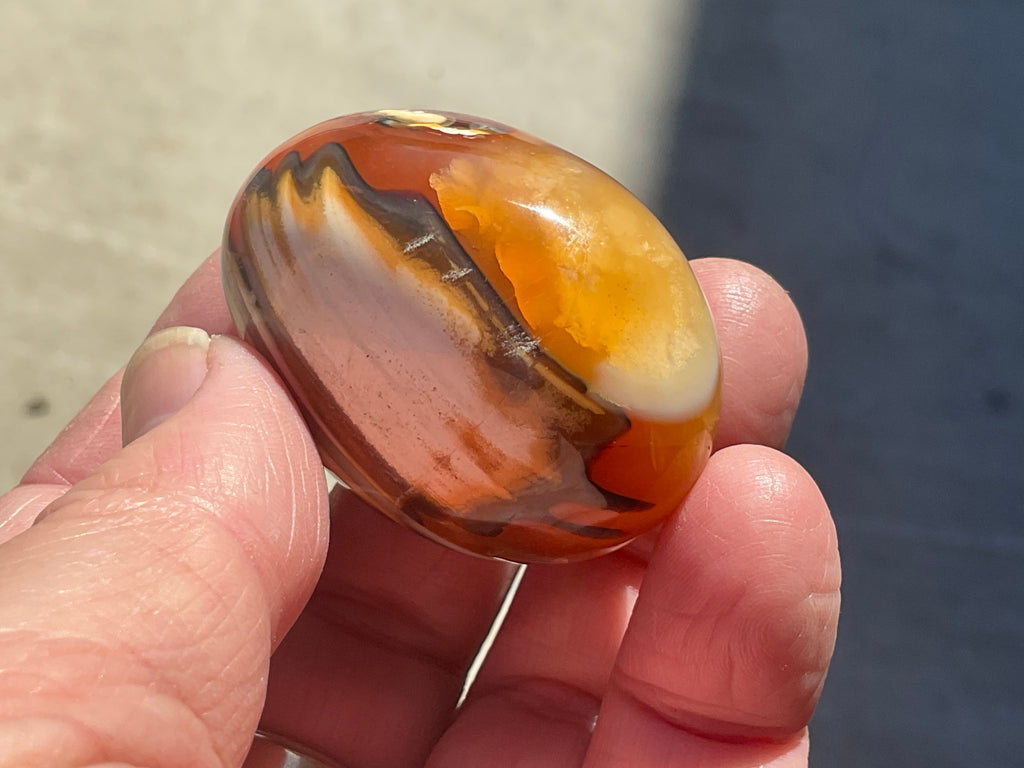 66g Carnelian Orca Agate Palmstone 1A