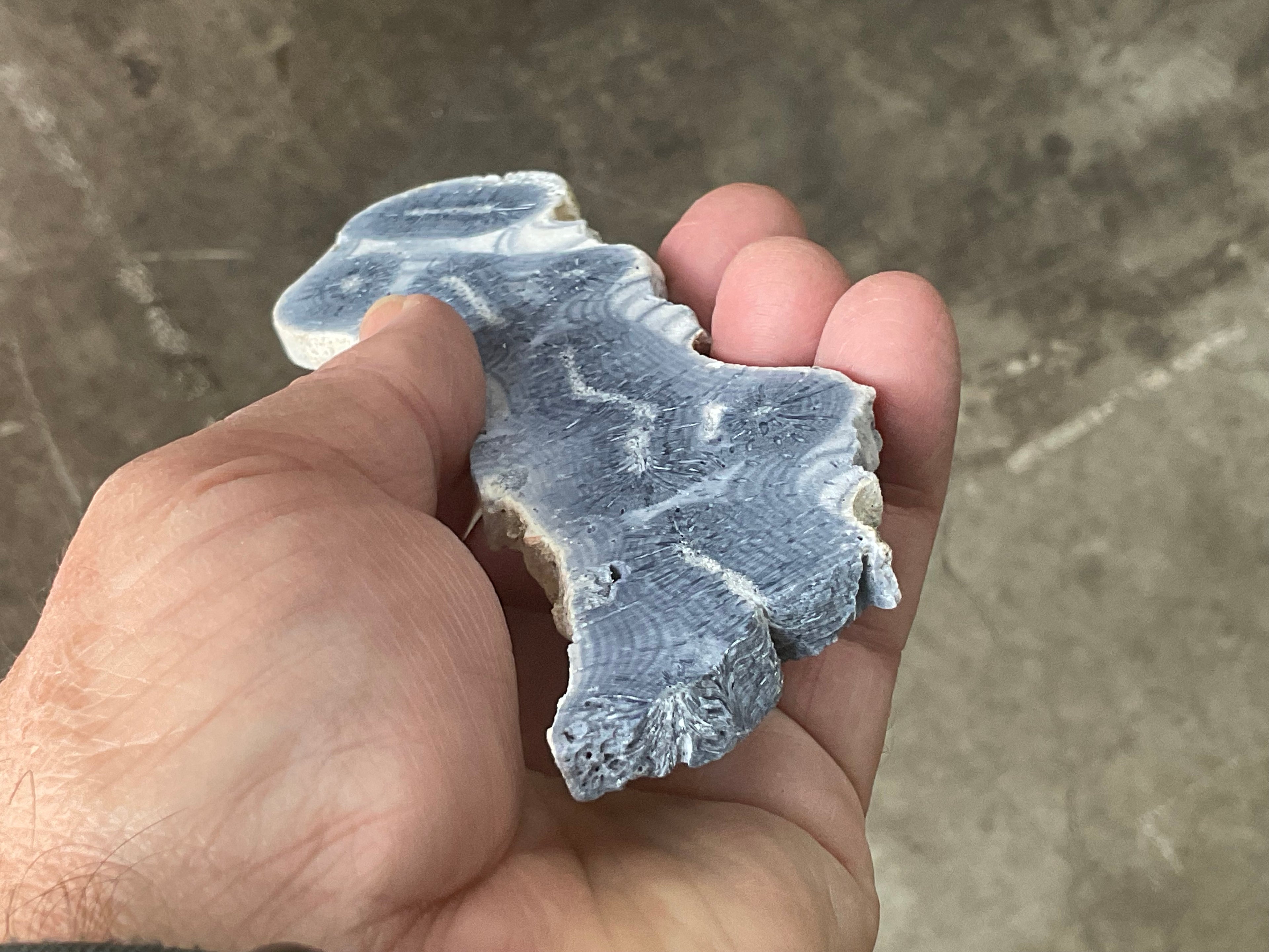 68g Natural Blue Coral Fossil Slab 8A