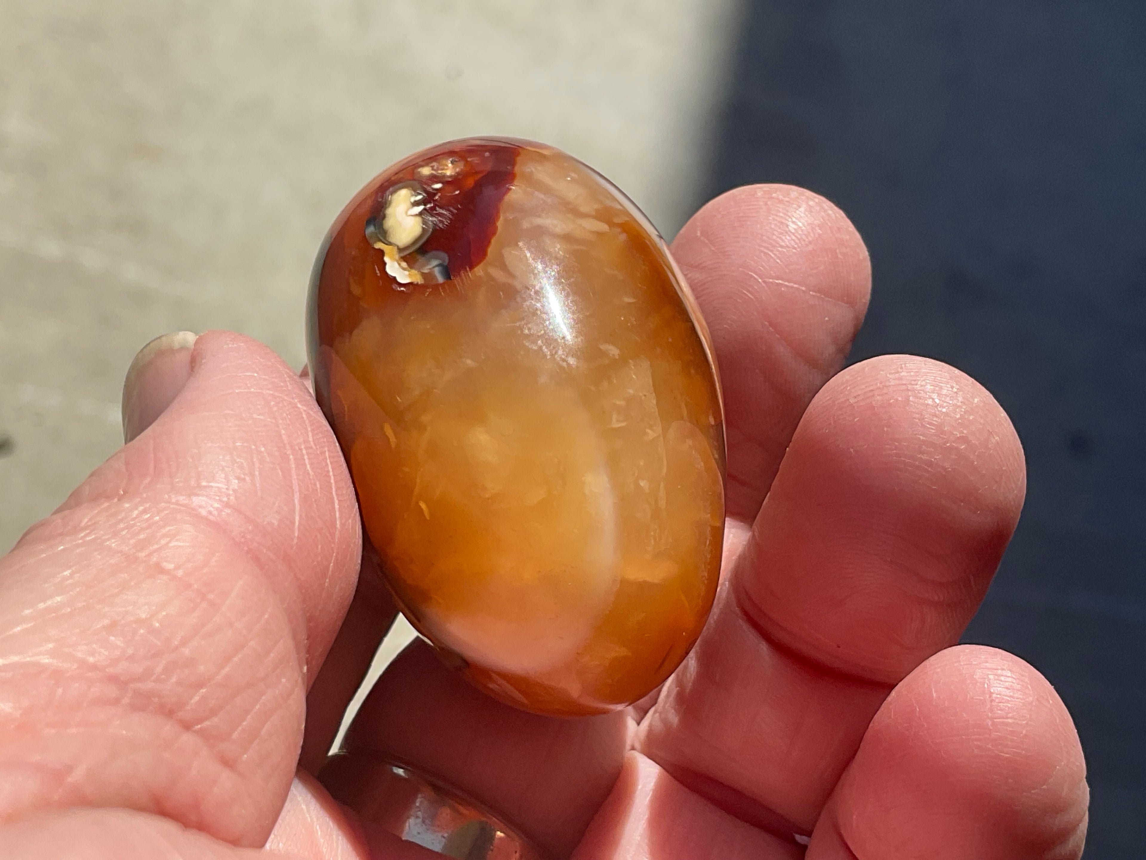 66g Carnelian Orca Agate Palmstone 1A