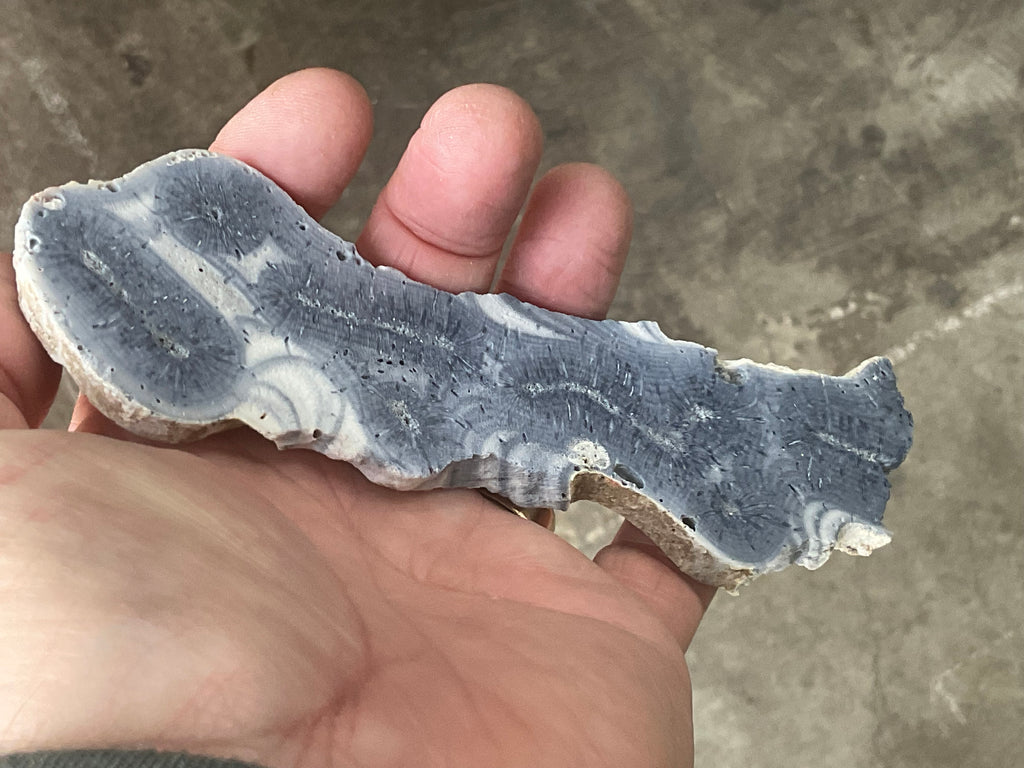 68g Natural Blue Coral Fossil Slab 8A