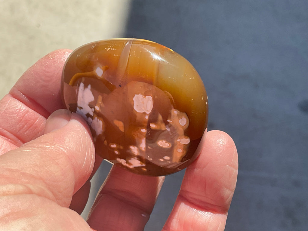 78g Orca Agate Palmstone 1B