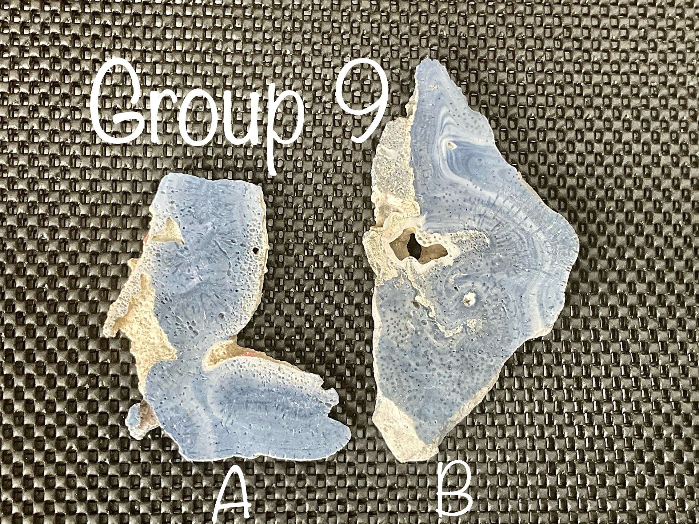 136g Natural Blue Coral Fossil Slab 9B