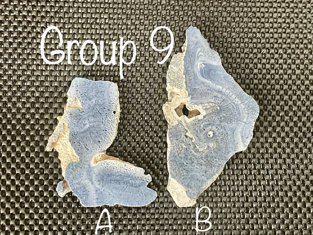 92g Natural Blue Coral Fossil Slab 9A