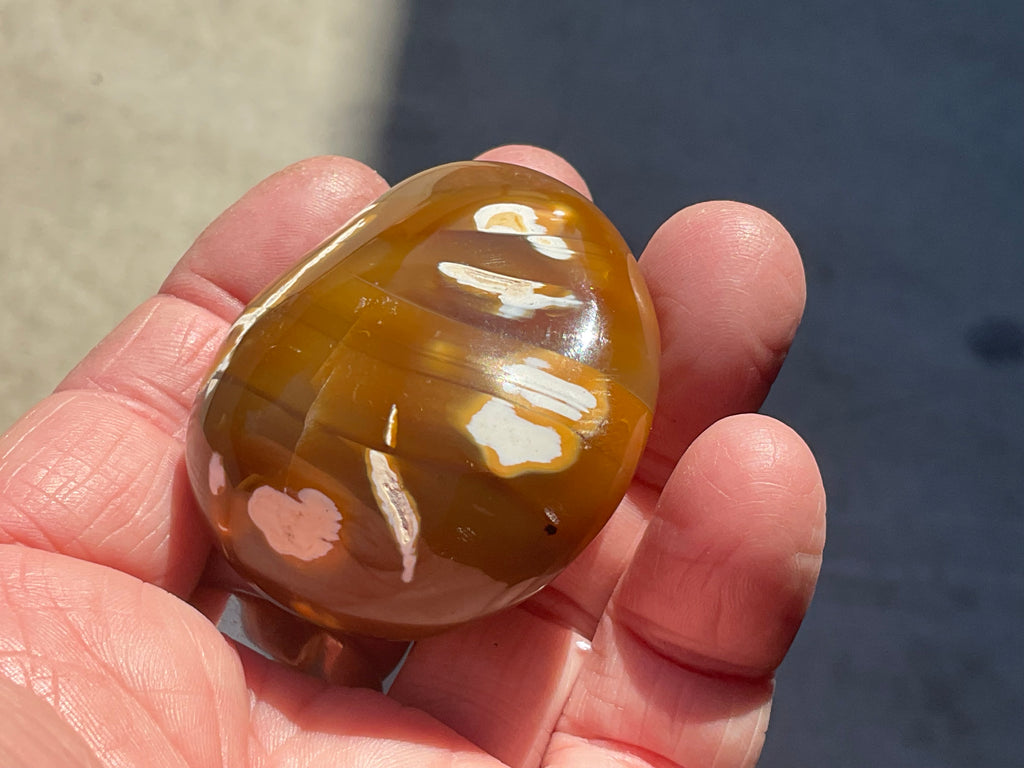 78g Orca Agate Palmstone 1B