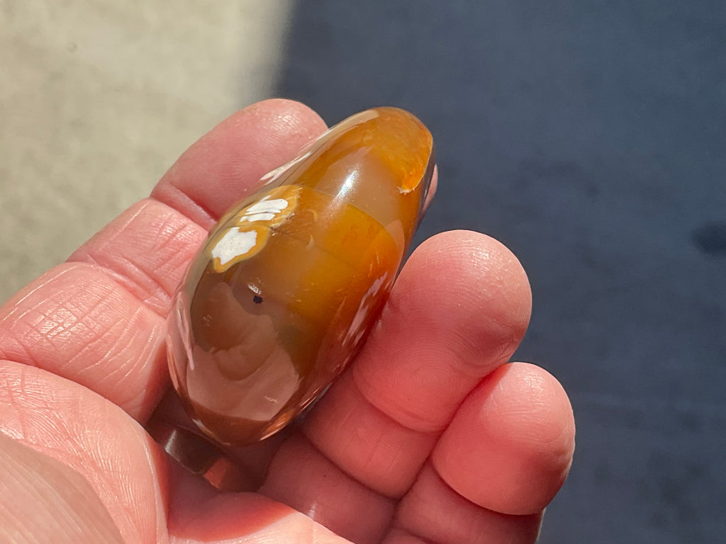 78g Orca Agate Palmstone 1B