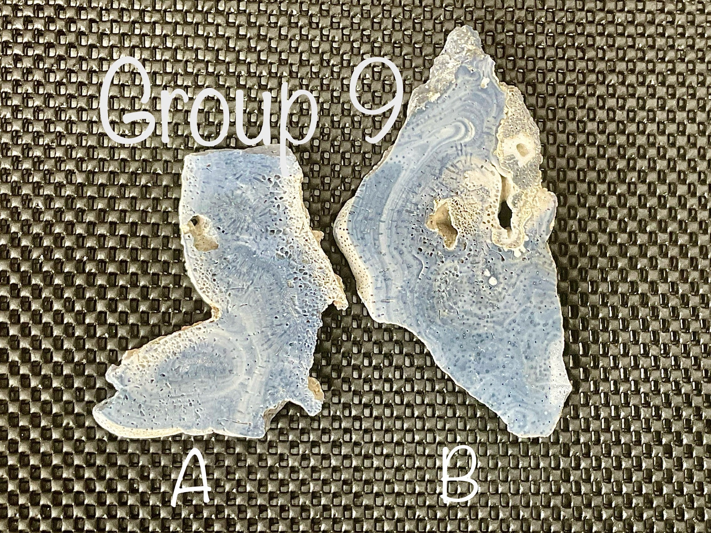 92g Natural Blue Coral Fossil Slab 9A