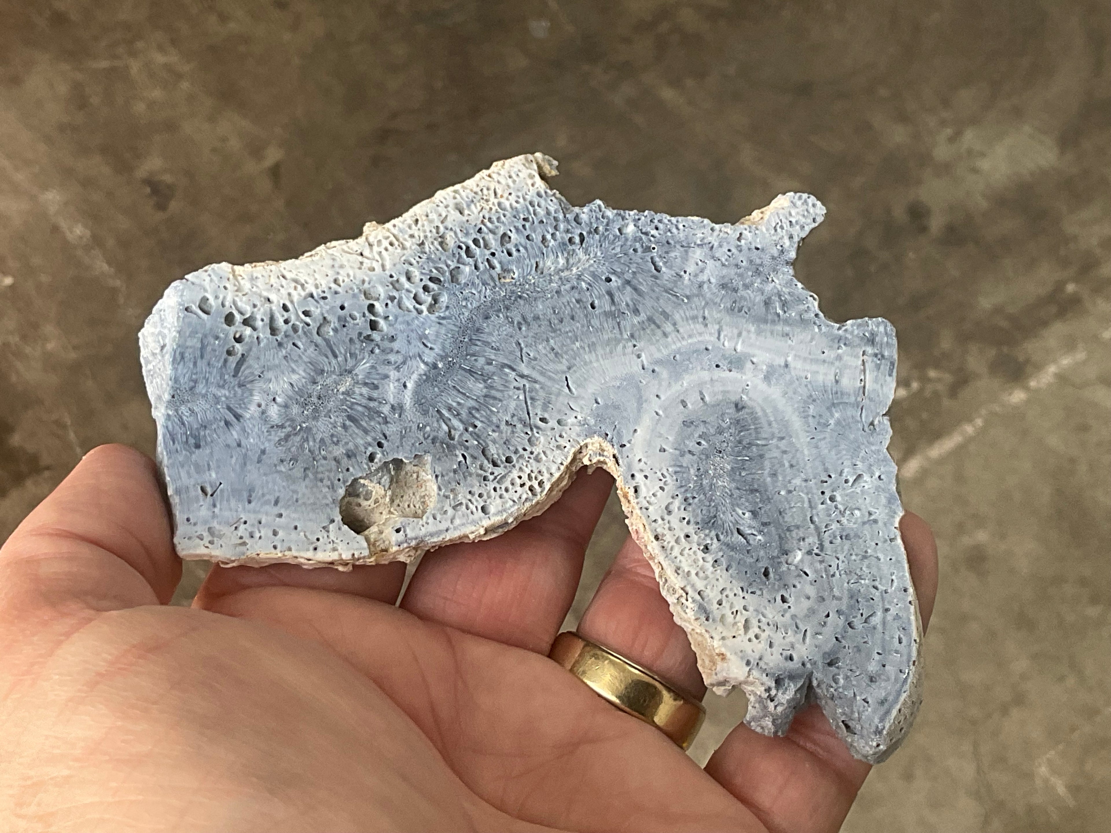 92g Natural Blue Coral Fossil Slab 9A