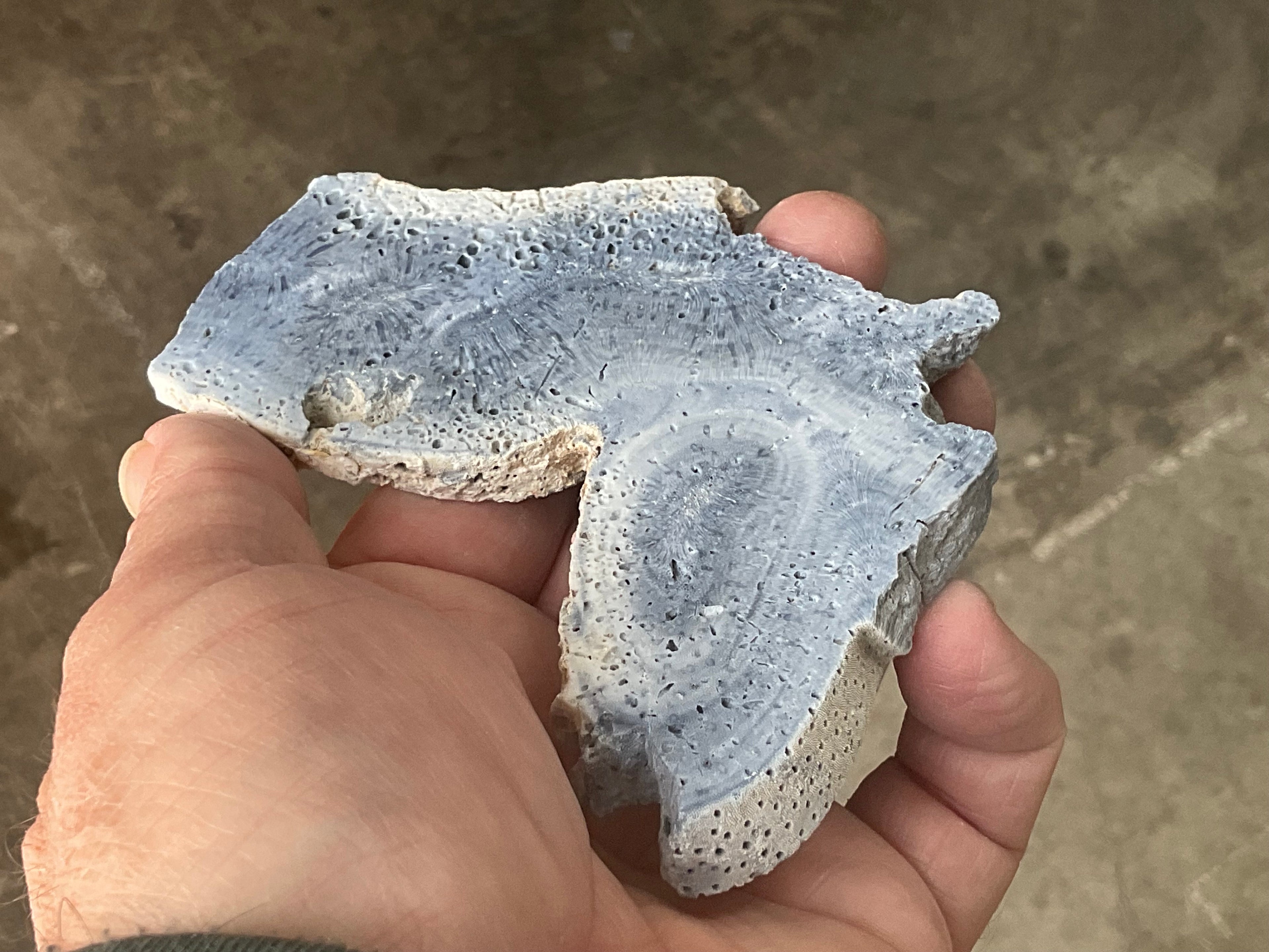 92g Natural Blue Coral Fossil Slab 9A