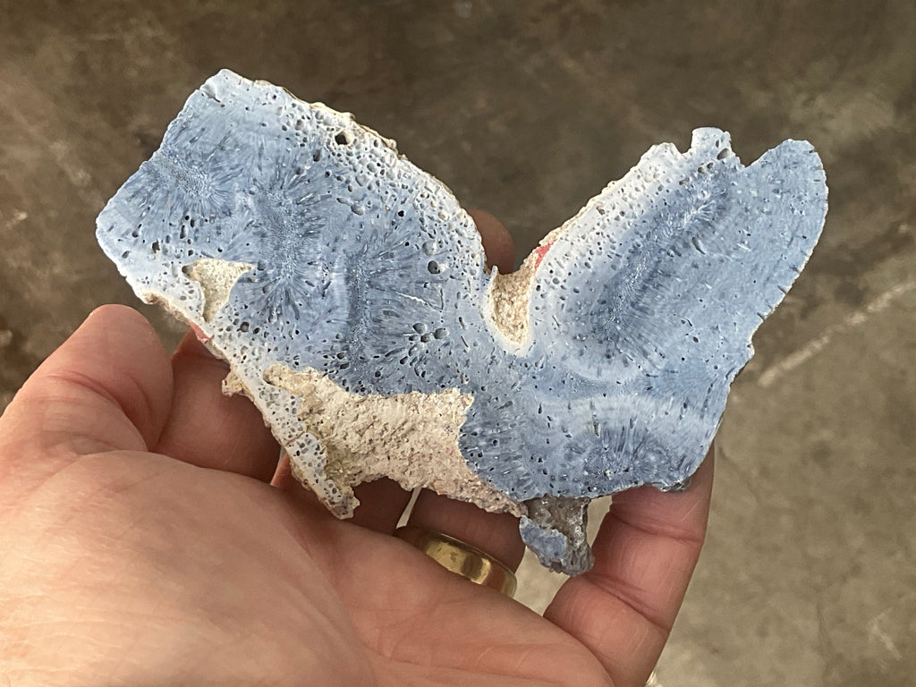 92g Natural Blue Coral Fossil Slab 9A
