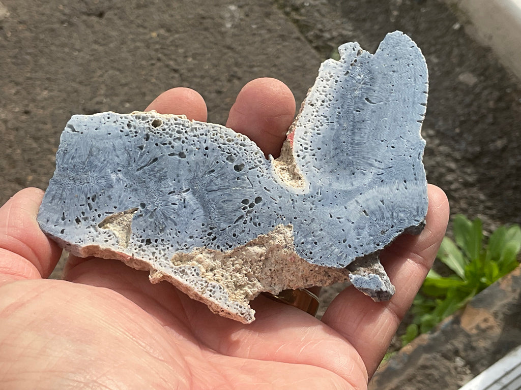92g Natural Blue Coral Fossil Slab 9A