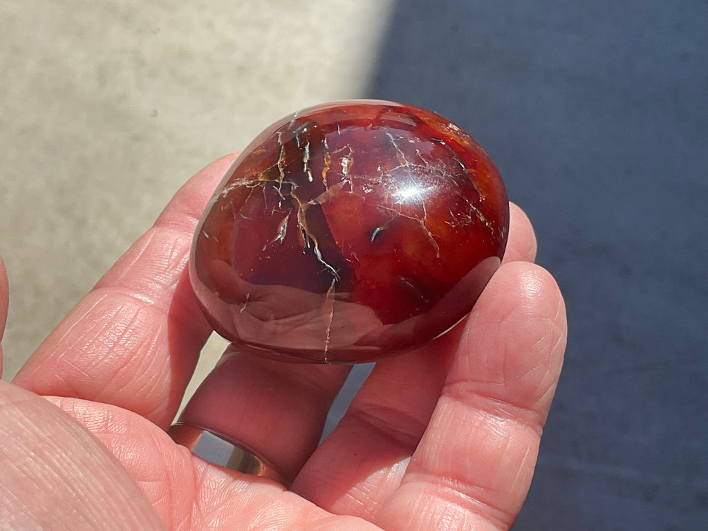 118g Carnelian Orca Agate Palmstone 3B