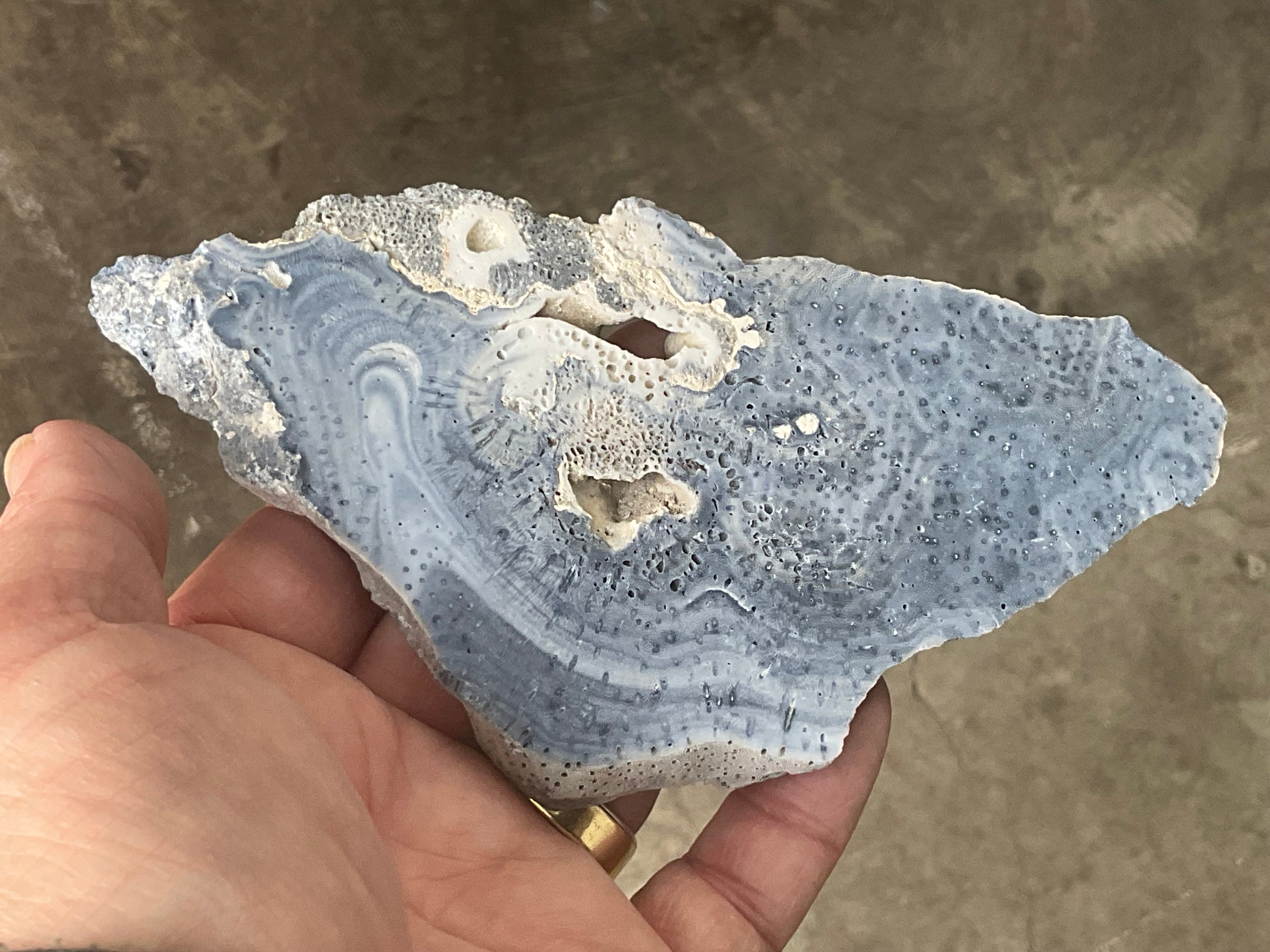 136g Natural Blue Coral Fossil Slab 9B