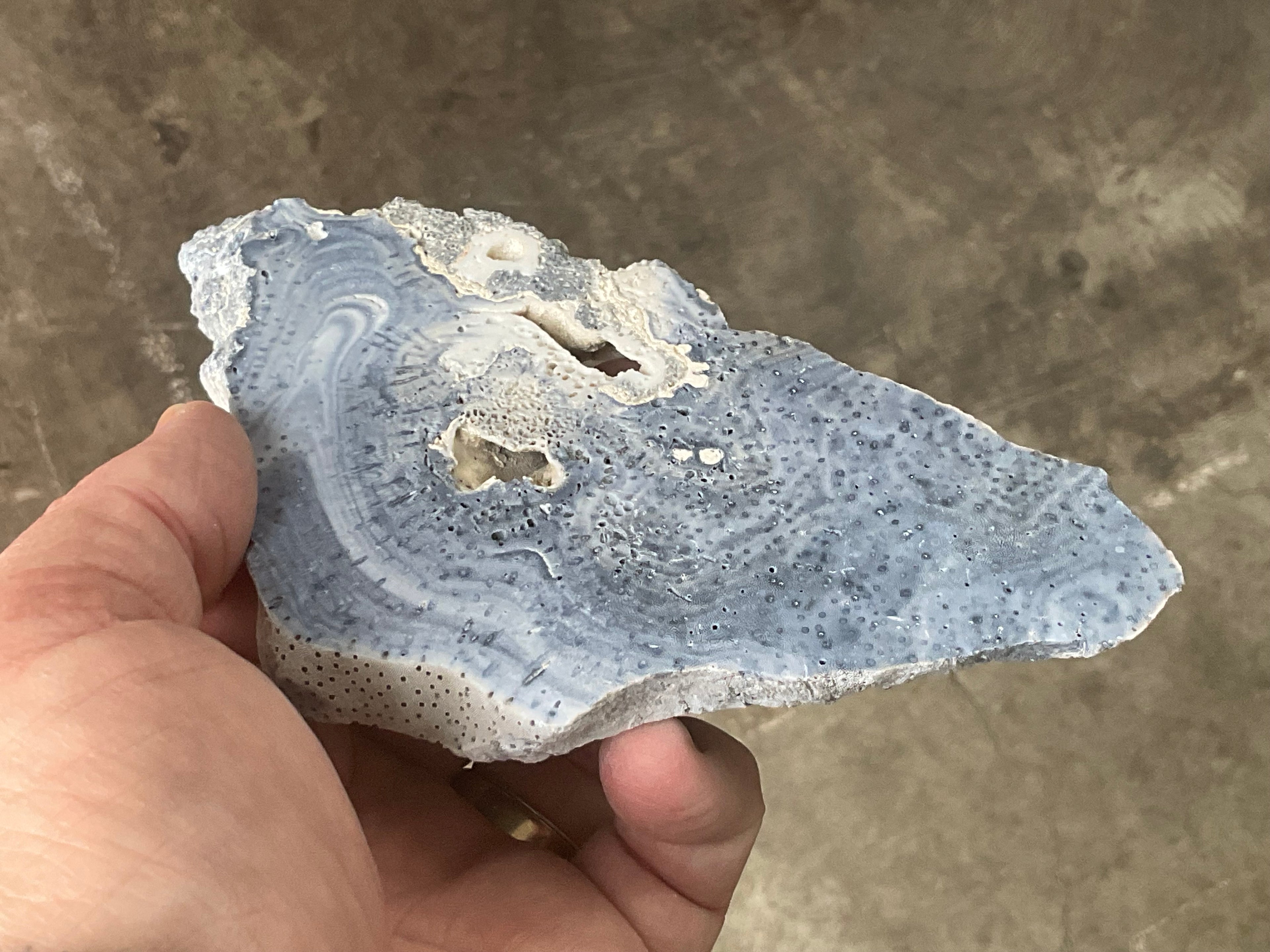 136g Natural Blue Coral Fossil Slab 9B