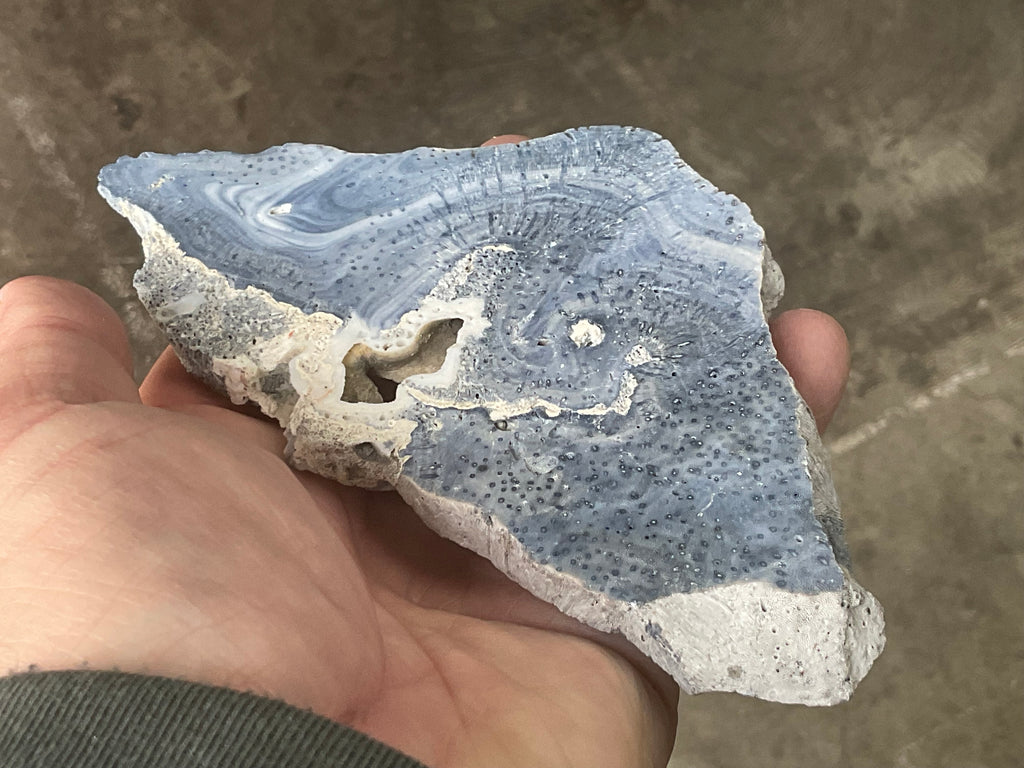 136g Natural Blue Coral Fossil Slab 9B